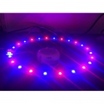 LED Grow Light